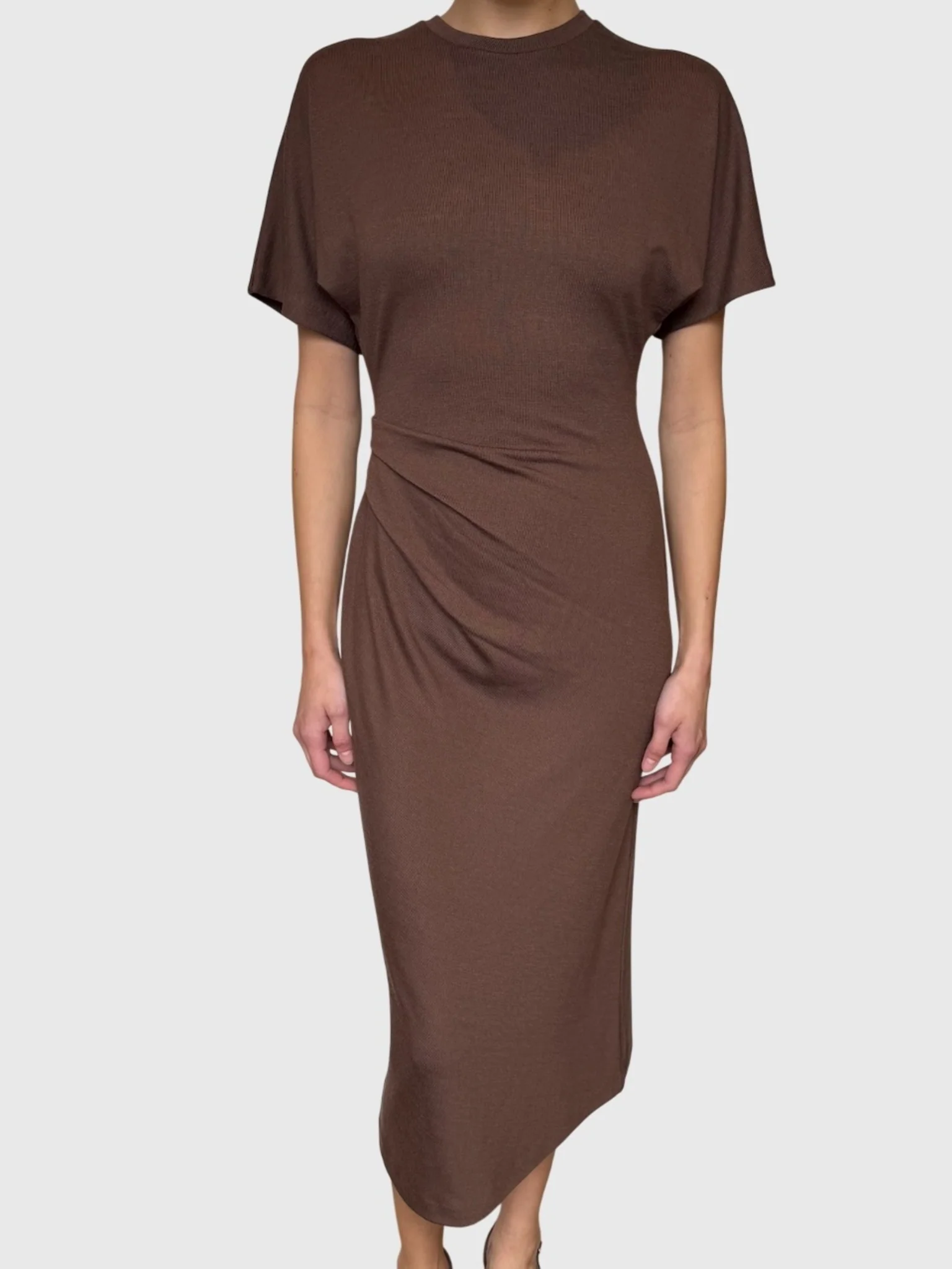 New Arrivals at Saint Bernard